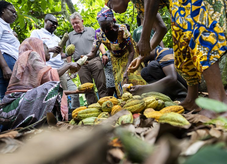 Udenrigsminister Lars Løkke Rasmussen besøger en kakao-plantage i Ghana. Foto: Finn Frandsen/Ritzau Scanpix.